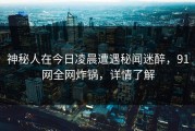 神秘人在今日凌晨遭遇秘闻迷醉，91网全网炸锅，详情了解