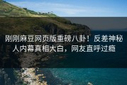 刚刚麻豆网页版重磅八卦！反差神秘人内幕真相大白，网友直呼过瘾