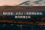 黑料突发：业内人士深夜揭秘真相，瞬间刷爆全网