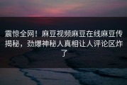 震惊全网！麻豆视频麻豆在线麻豆传揭秘，劲爆神秘人真相让人评论区炸了
