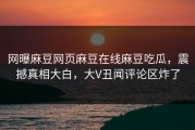 网曝麻豆网页麻豆在线麻豆吃瓜，震撼真相大白，大V丑闻评论区炸了
