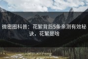 微密圈科普：花絮背后5条亲测有效秘诀，花絮是啥