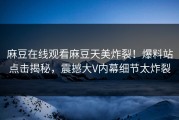 麻豆在线观看麻豆天美炸裂！爆料站点击揭秘，震撼大V内幕细节太炸裂