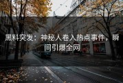 黑料突发：神秘人卷入热点事件，瞬间引爆全网