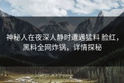 神秘人在夜深人静时遭遇猛料 脸红，黑料全网炸锅，详情探秘