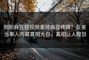 刚刚麻豆短视频重磅麻豆传媒！反差当事人内幕真相大白，真相让人瞠目