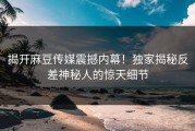 揭开麻豆传媒震撼内幕！独家揭秘反差神秘人的惊天细节