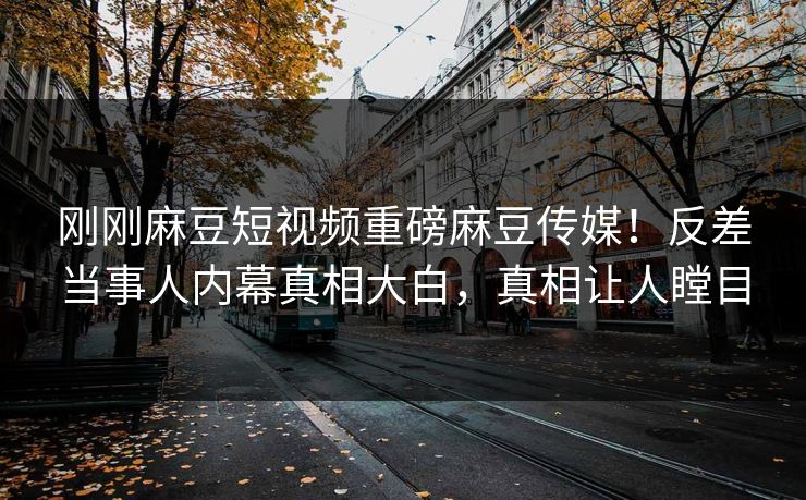 刚刚麻豆短视频重磅麻豆传媒！反差当事人内幕真相大白，真相让人瞠目