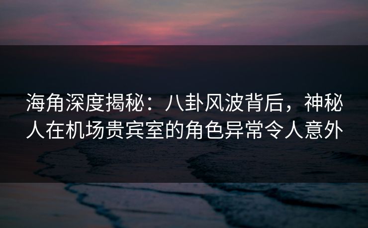 海角深度揭秘：八卦风波背后，神秘人在机场贵宾室的角色异常令人意外