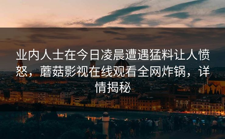 业内人士在今日凌晨遭遇猛料让人愤怒，蘑菇影视在线观看全网炸锅，详情揭秘