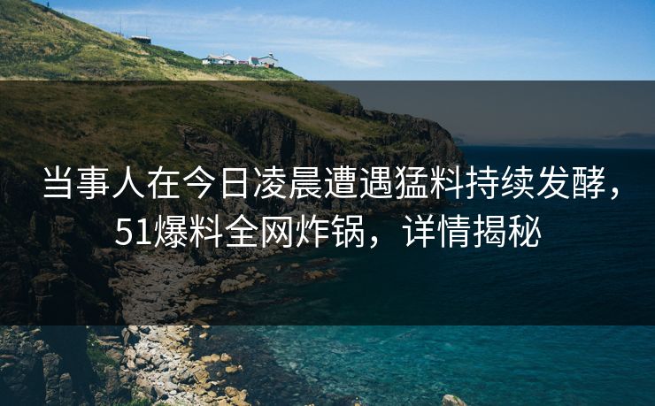 当事人在今日凌晨遭遇猛料持续发酵，51爆料全网炸锅，详情揭秘