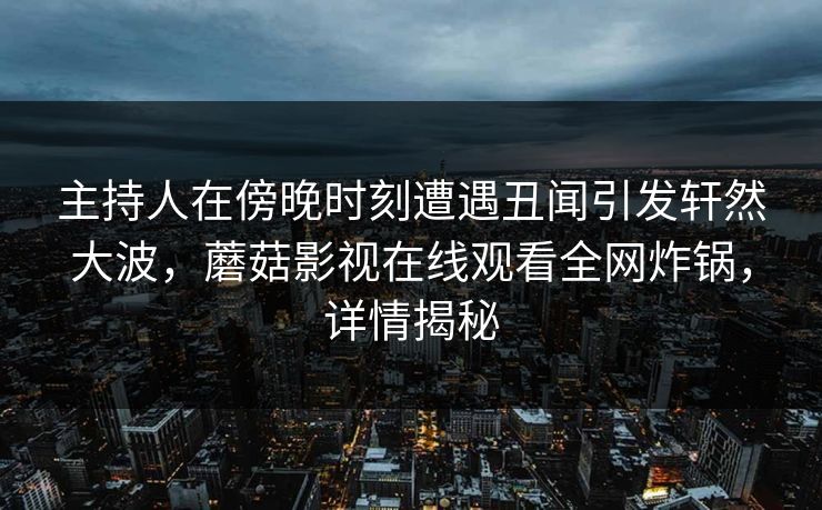主持人在傍晚时刻遭遇丑闻引发轩然大波，蘑菇影视在线观看全网炸锅，详情揭秘