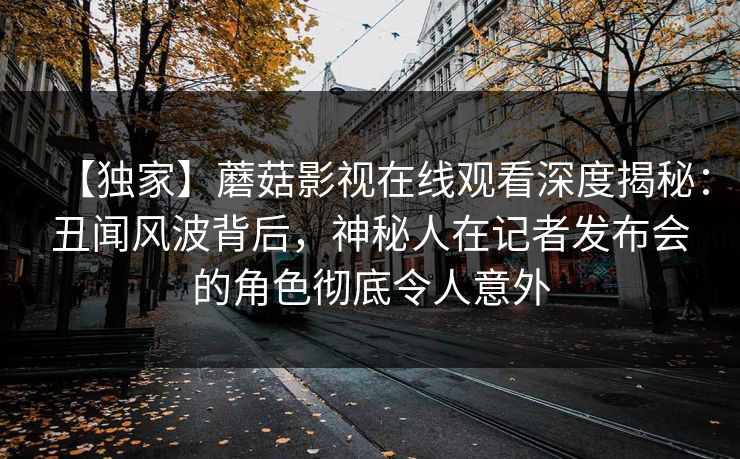 【独家】蘑菇影视在线观看深度揭秘：丑闻风波背后，神秘人在记者发布会的角色彻底令人意外