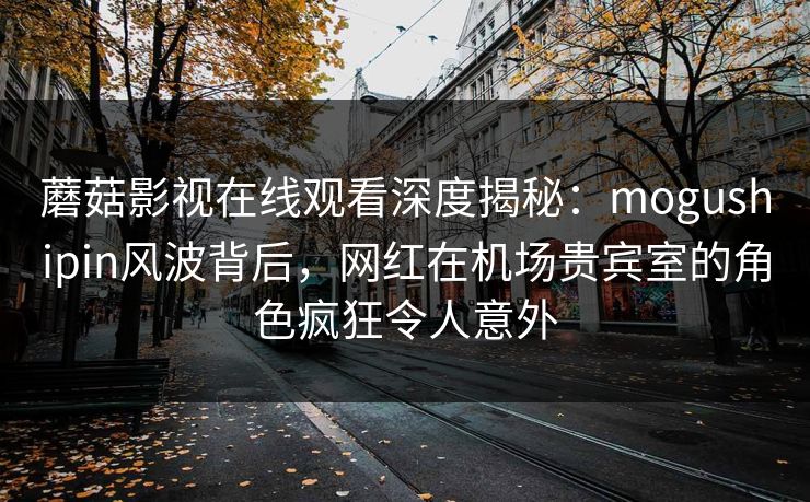 蘑菇影视在线观看深度揭秘：mogushipin风波背后，网红在机场贵宾室的角色疯狂令人意外